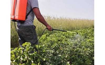 اهمیت محلول پاشی برگ گیاهان 