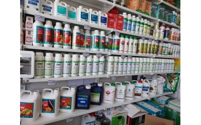 گالری تصاویر فروشگاه پالیز